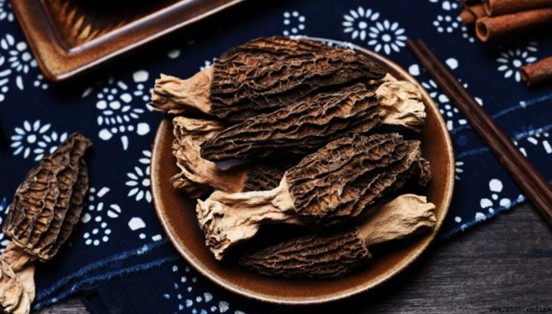 干品羊肚菌怎麼保存