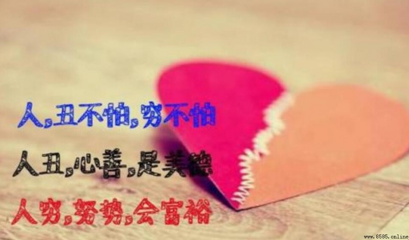 獻給沒良心的人的句子總結