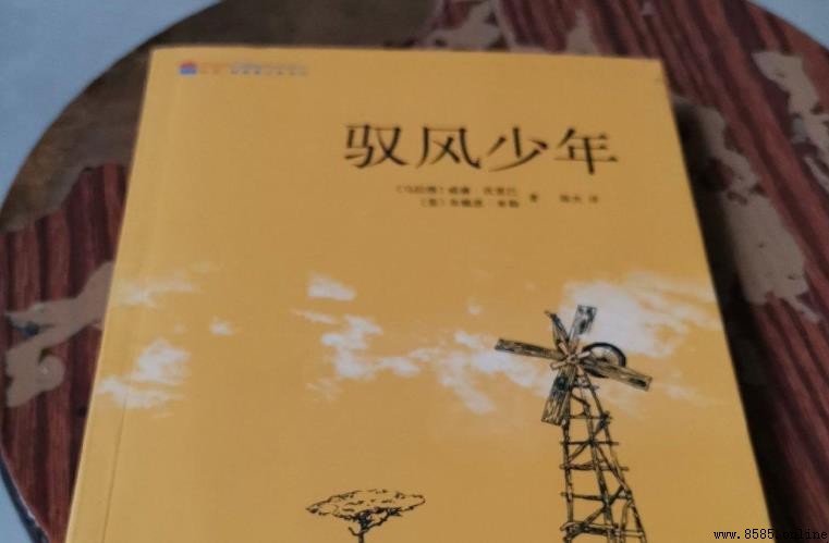 《驭风少年》内容介绍