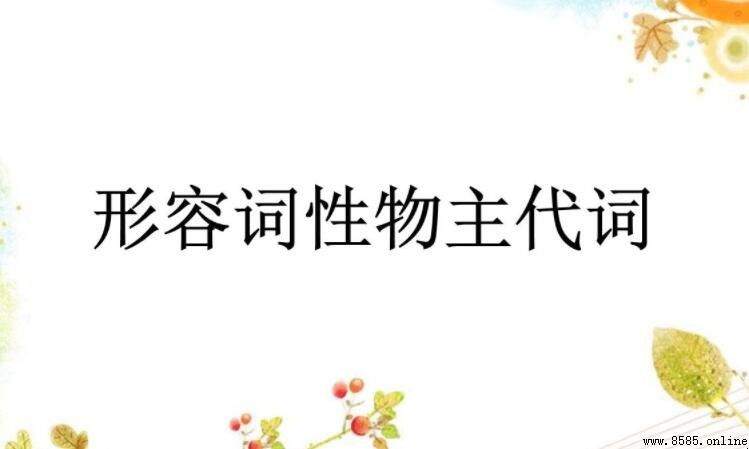 什麼是形容詞性物主代詞