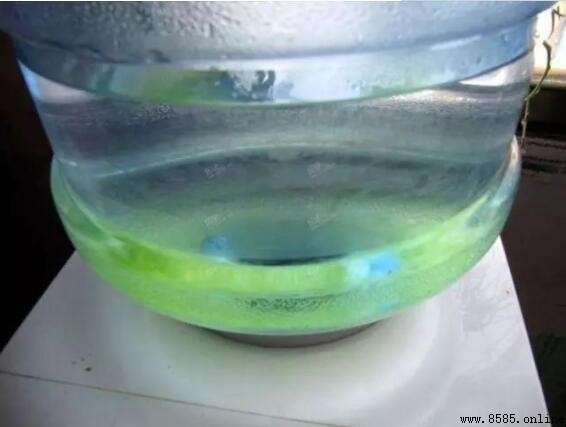 桶裝水桶內青苔清除方法