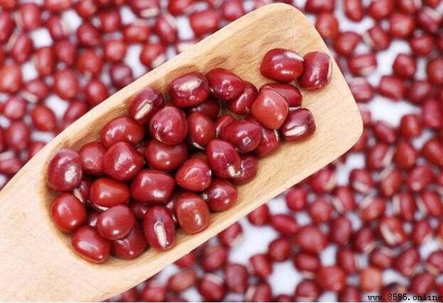 紅豆與相思豆差異解析：外觀、營養與吃法對比