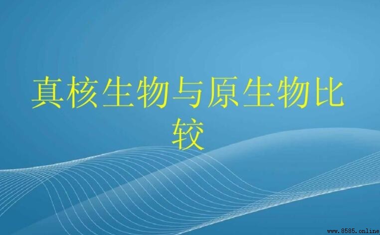 原核生物與真核生物的主要差異比較