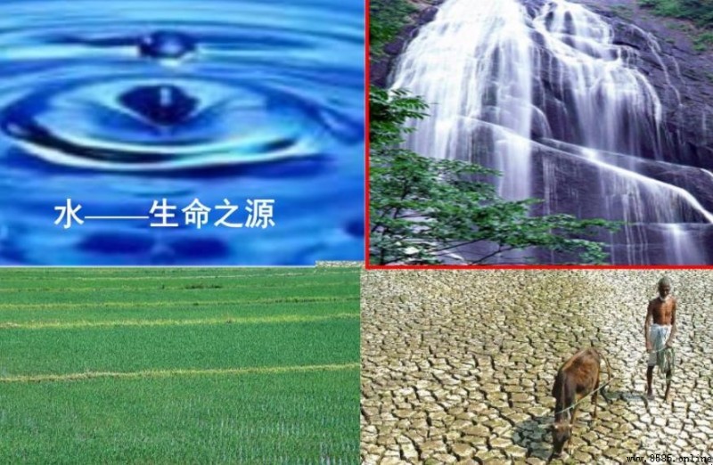 無機物營養成分有哪些