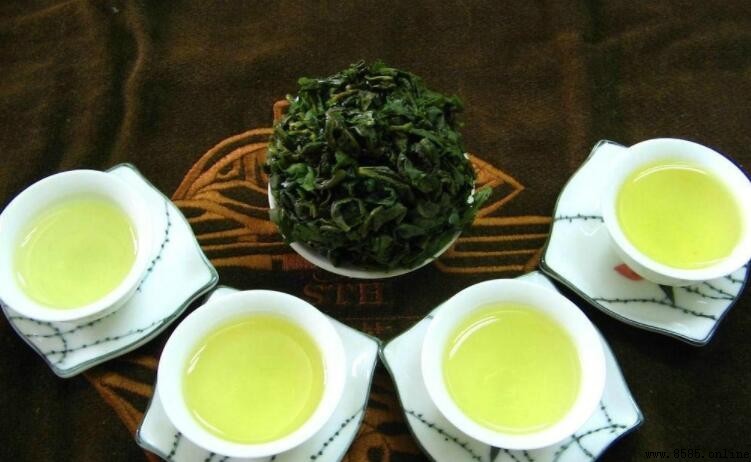 什麼是烏龍茶?全面解析半發酵茶品類