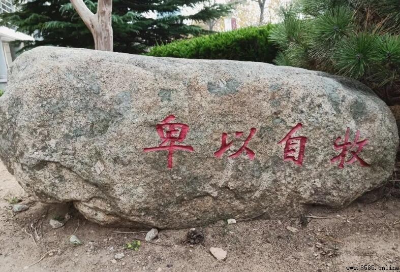 卑以自牧造句示例與用法解析