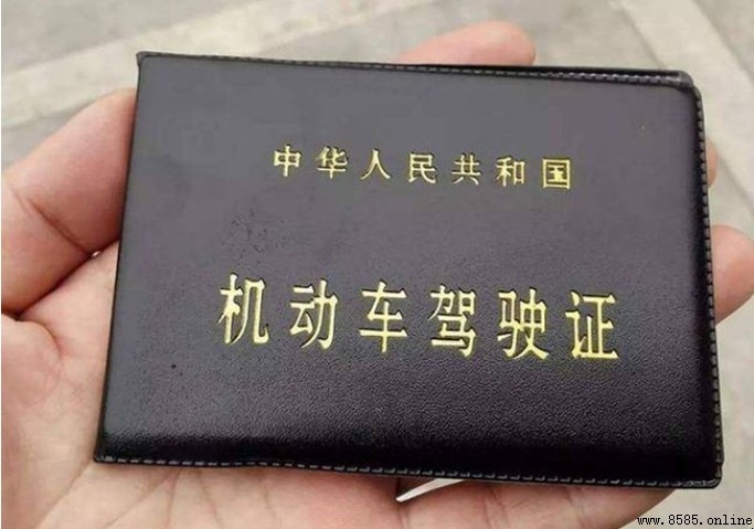 C1與C2駕照差異解析：可駕駛車型、考試難度與費用比較