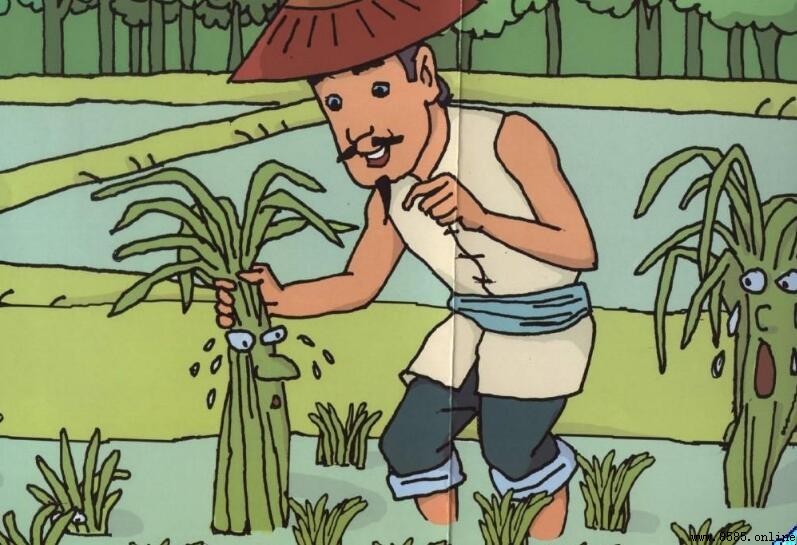 拔苗助長的歇後語是什麼