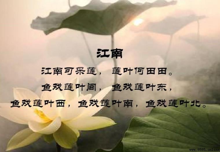 江南可采蓮古詩下一句