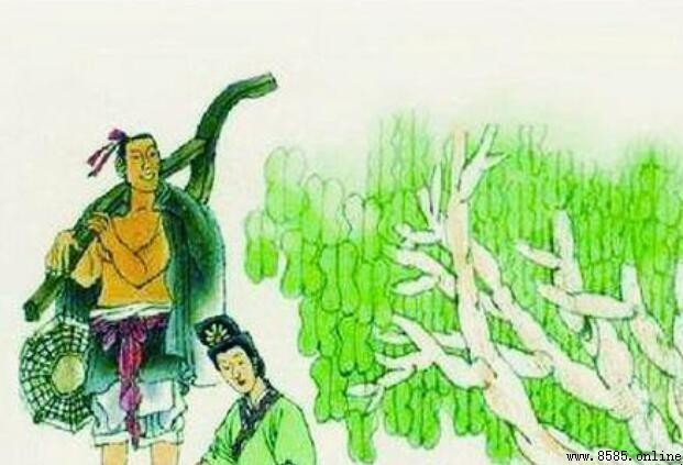 描寫農村生活的詩句