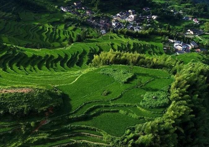 探索麗水的地形地貌