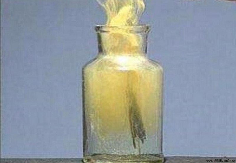 氯氣能溶於水嗎?解析其性質與反應