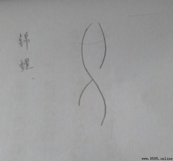 錦鯉簡筆畫怎麼畫:分步圖解教程