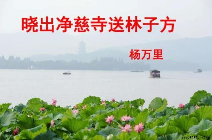 《晓出净慈寺送林子方二首》原文