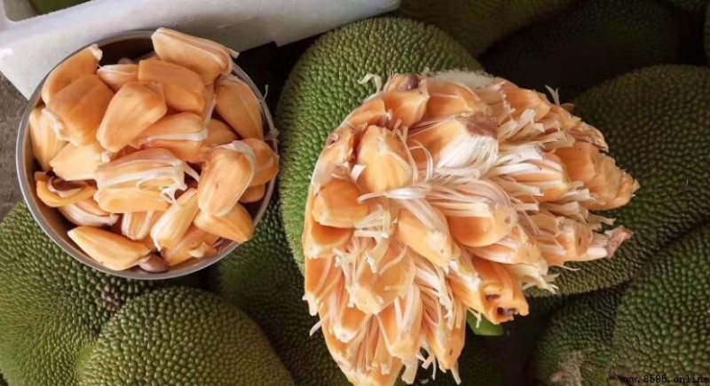菠蘿蜜能放冰箱嗎？正確保存方式與時效說明