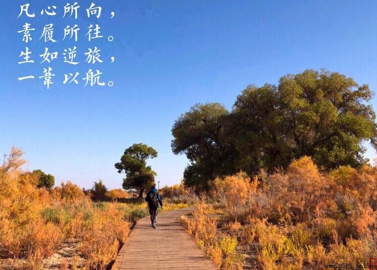 凡心所向，素履所往：生如逆旅，一苇以航