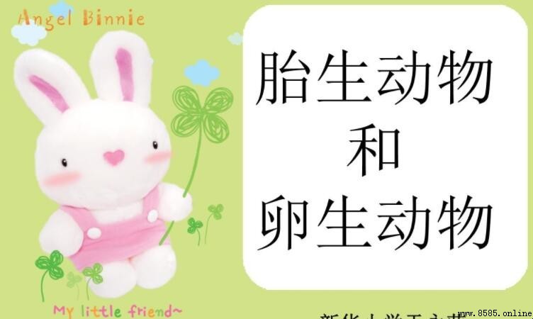胎生和卵生的区别是什么