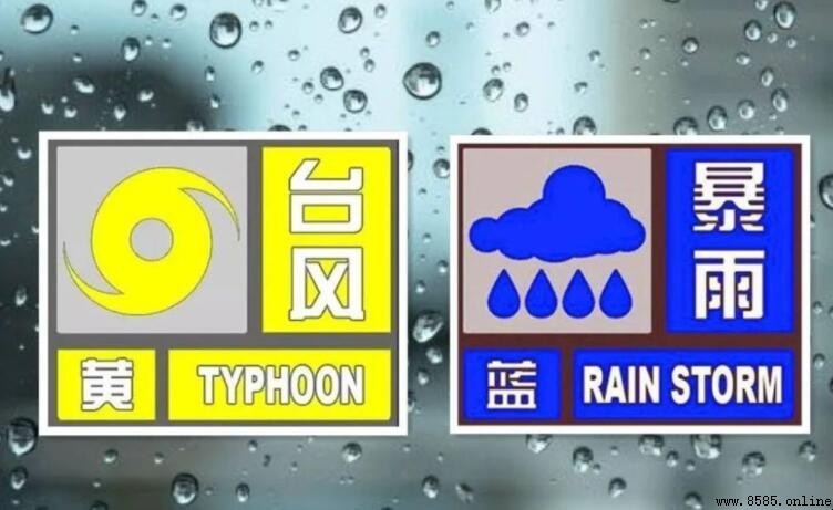 台風黄色预警是什麼級別