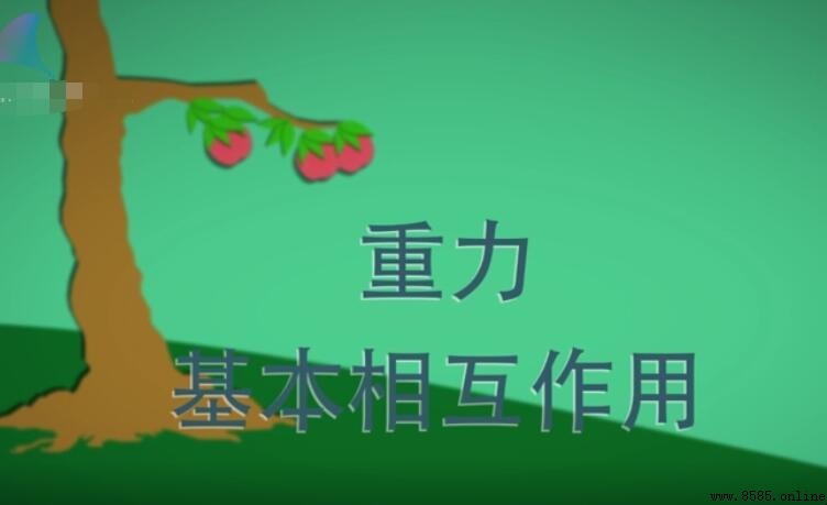 什麼是相互作用力