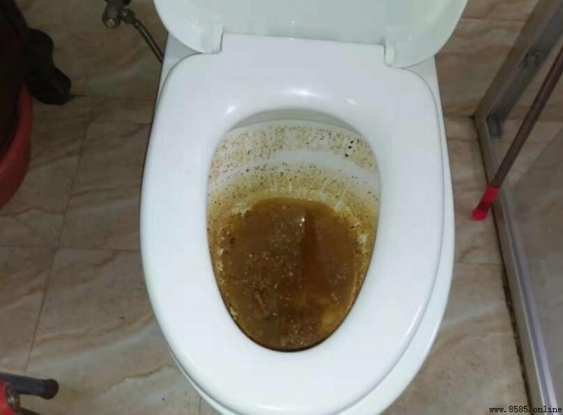馬桶堵了屎水滿了怎麼疏通？實用步驟教學