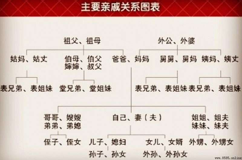 舅舅的儿子是表亲还是堂亲?詳細解釋兩者的區別