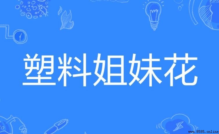 塑料姐妹花的意思與來源