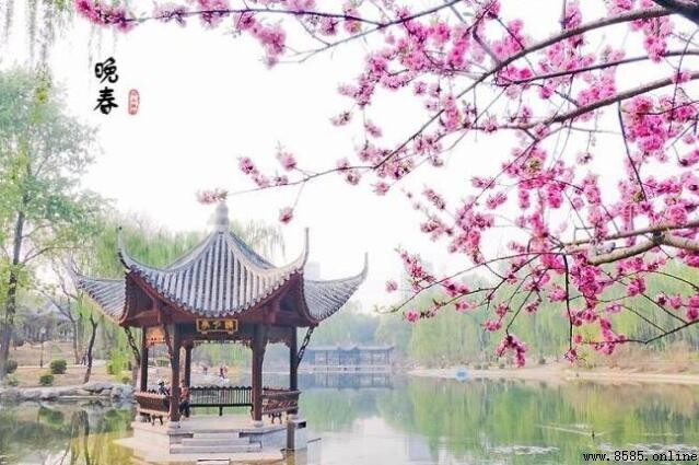 《晚春》的主旨與現代啟示