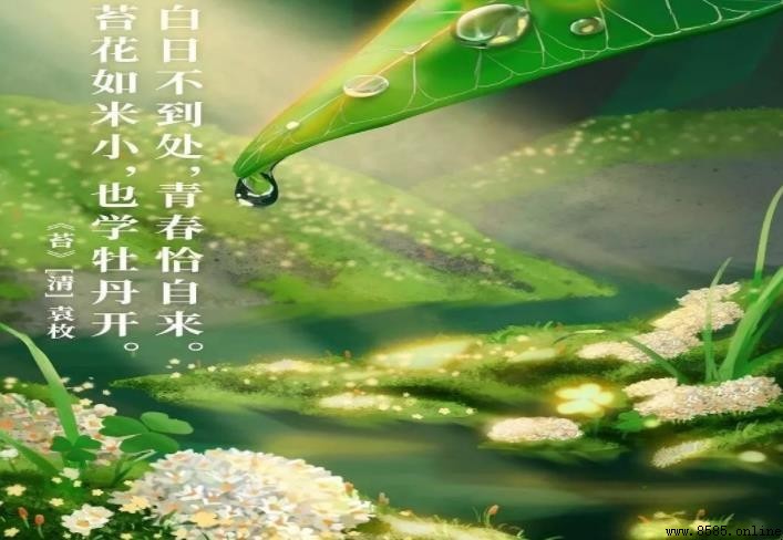 《苔》原文與含義解析