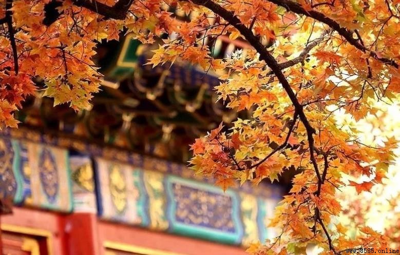 香山公園氣候指南:四季天氣特點與溫度變化