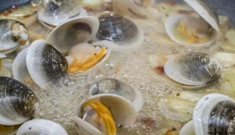 蛤蜊是海鮮:棲息地、營養價值與特色解析