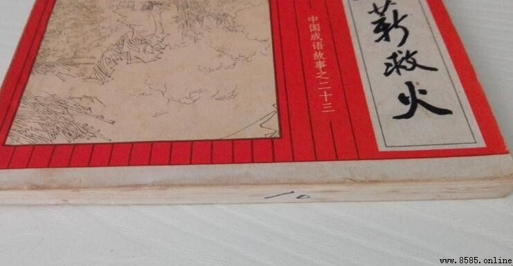 抱薪救火的意思