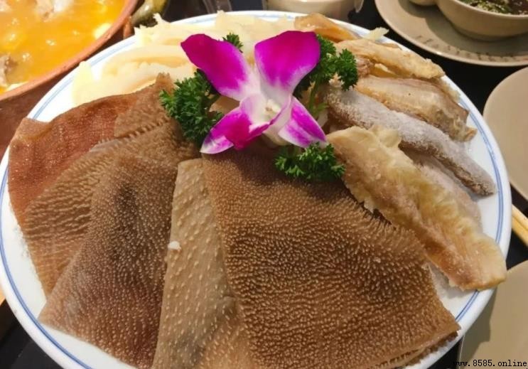 毛肚和牛肚的差別是什麼？