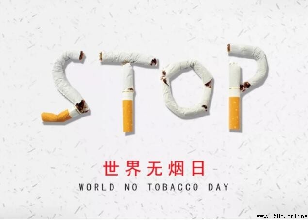 世界無煙日手抄報內容精選