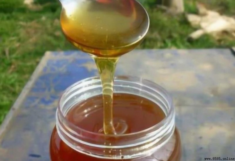 蜂蜜含糖量高嗎？解析其糖分含量與健康影響