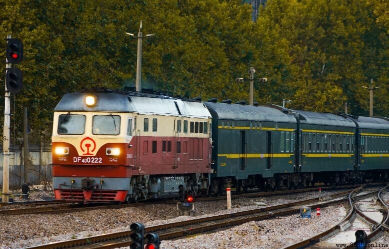 D字頭列車是什麼車輛?詳細解說其類型與特點