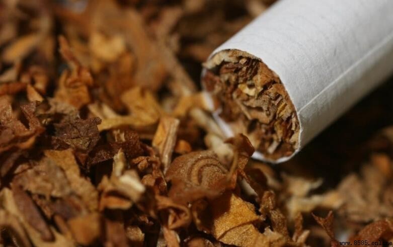 辦煙草證所需條件全解析