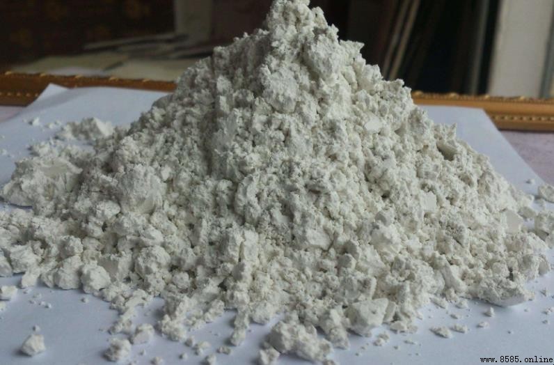 硅藻土應用範圍及優點詳解
