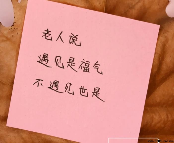 相遇的句子：張愛玲與人生相遇之美