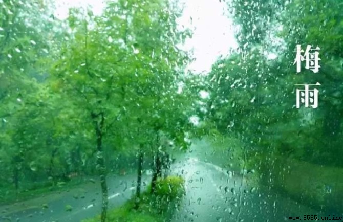 入梅時間指南:何時入梅及影響因素