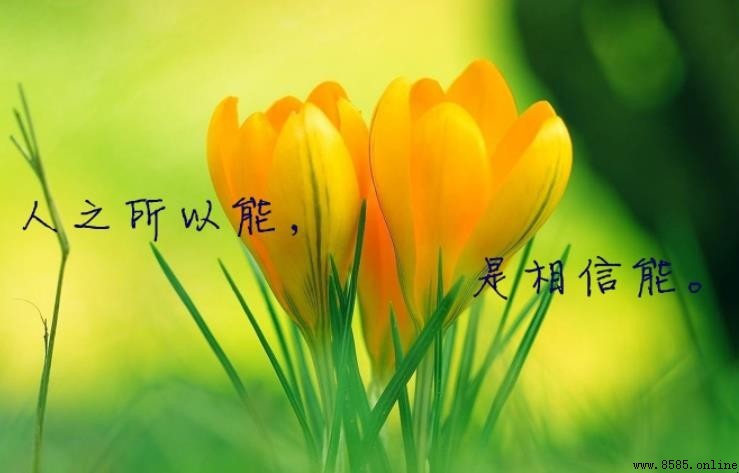 生活中的哲理名言集