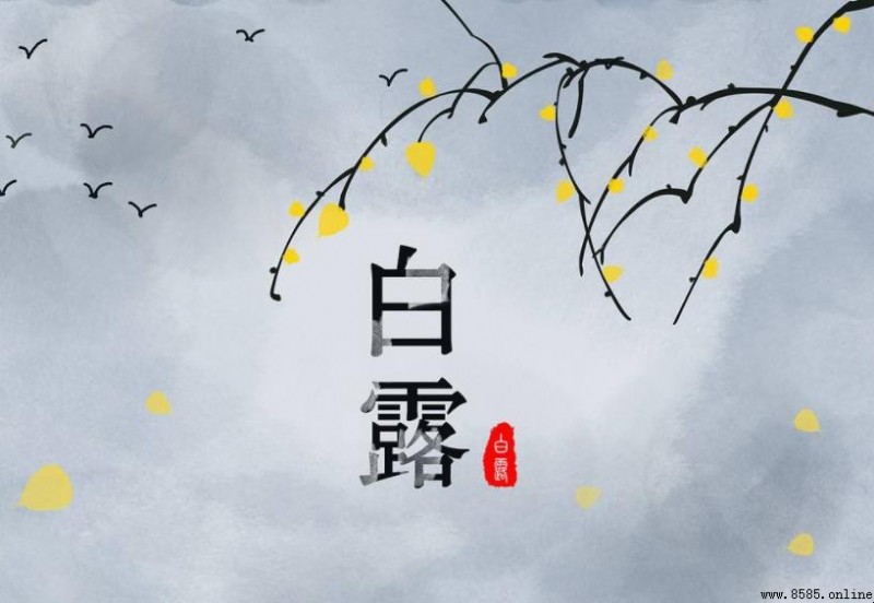 白露節氣時間與含義解析