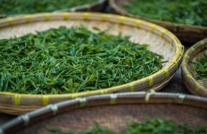 碧螺春品質分級解析:等級標準與品質特徵