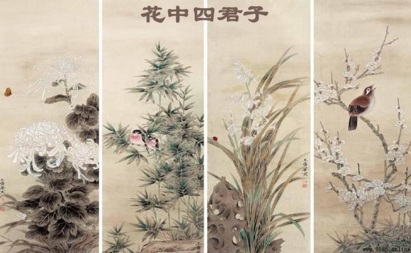 菊花為何被譽為花中四君子