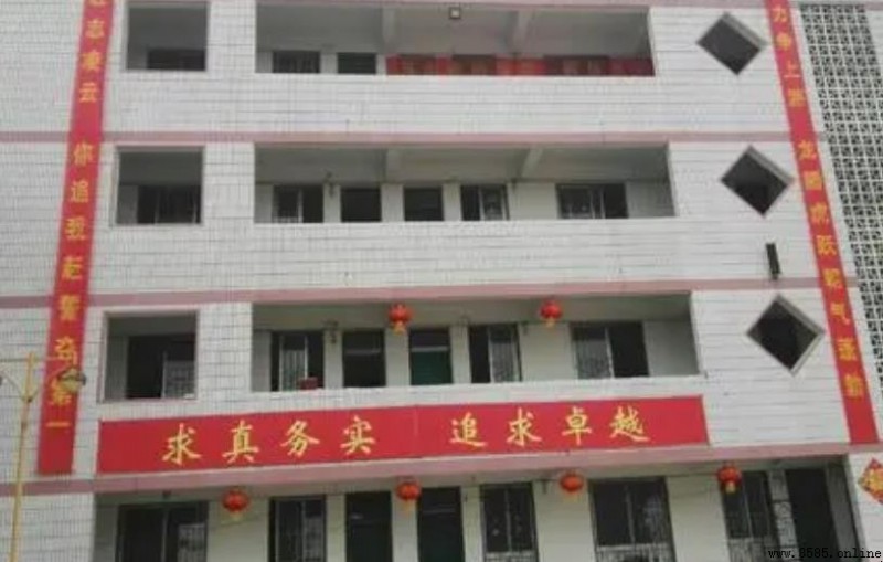 中考標語集錦:激勵與決心的典範