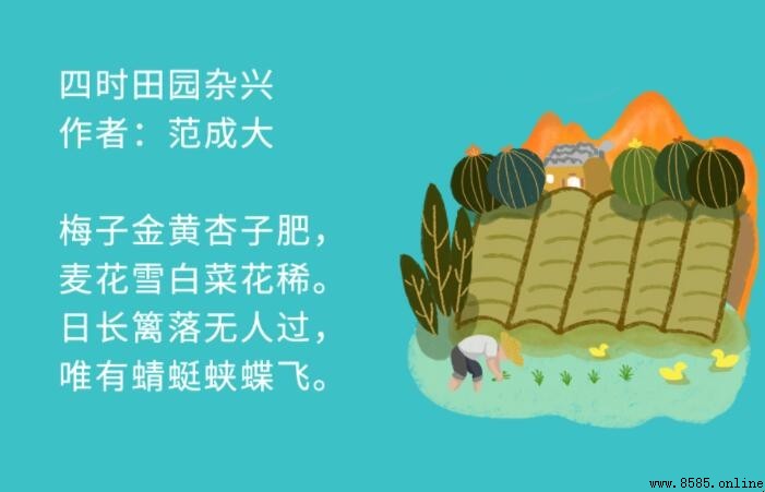 梅子金黄杏子肥麦花雪白菜花稀的意思與賞析