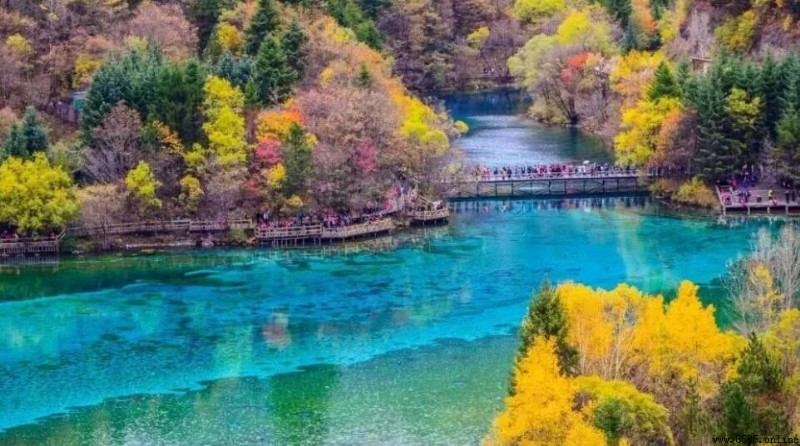 九寨沟是国家几A级景点?