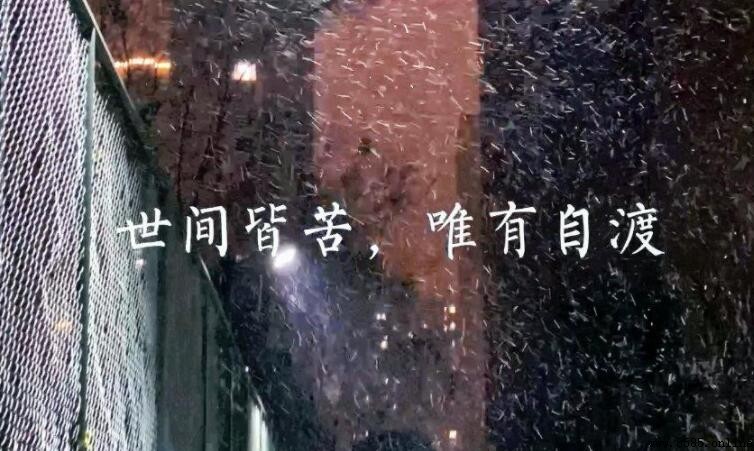 世間皆苦唯有自渡是什麼意思