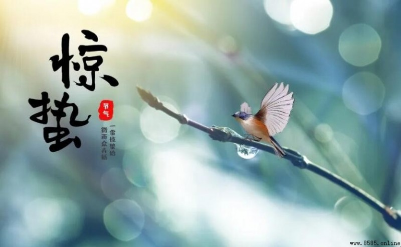 驚蟄吃梨的由來與寓意