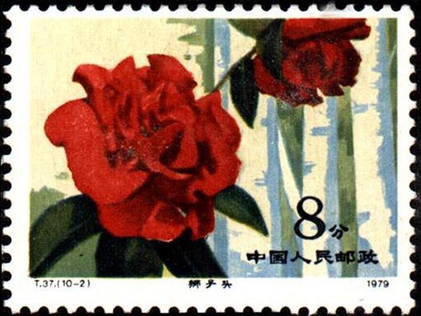 四個小妙招輕鬆去除郵票污跡