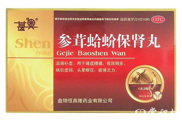 蛤蚧补肾益气胜人参:药理价值与四大功效